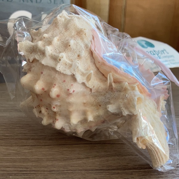 Seaport candle company handmade shell candle NWT - Picture 4 of 9